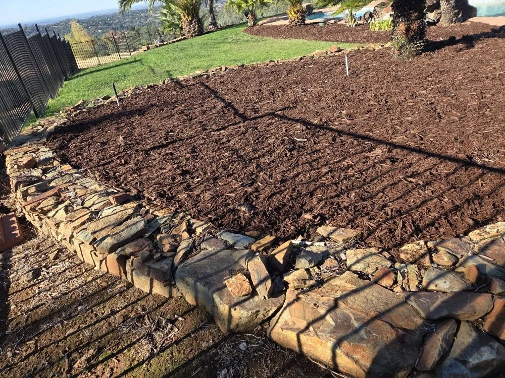 Affordable landscaping services in Auburn, CA - Roney's Yard Maintenance