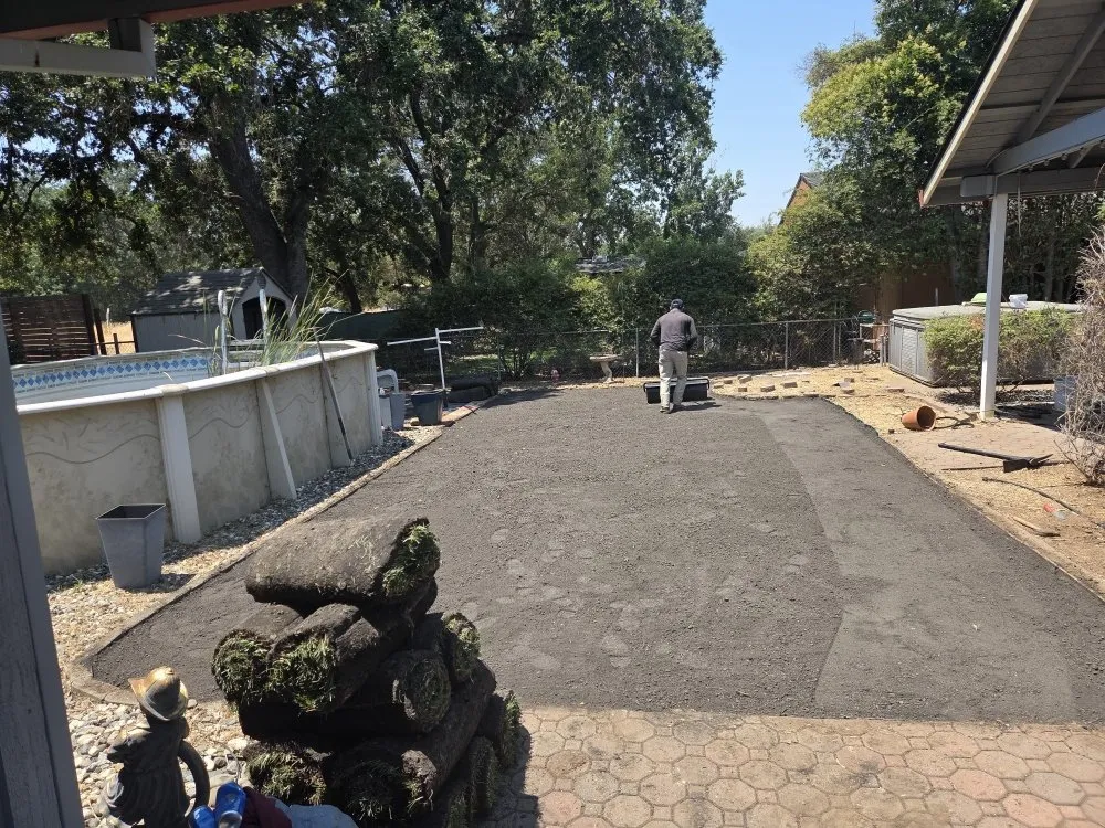 Local lawn care service in Auburn, CA by Roney's Yard Maintenance