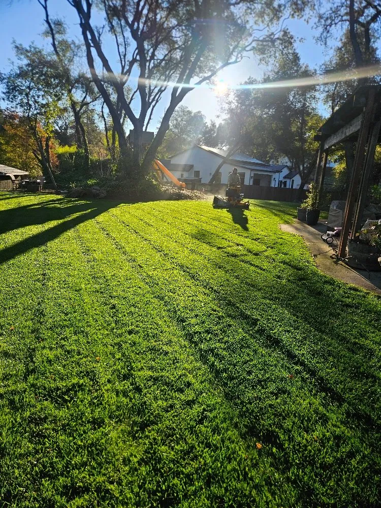 Local lawn mowing service experts serving Auburn, CA - Roney's Yard Maintenance