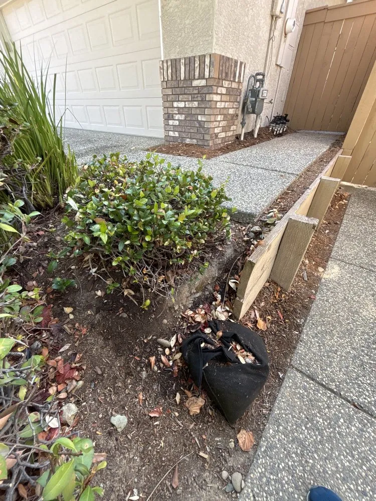 Custom landscape installation in Auburn, CA by Roney's Yard Maintenance
