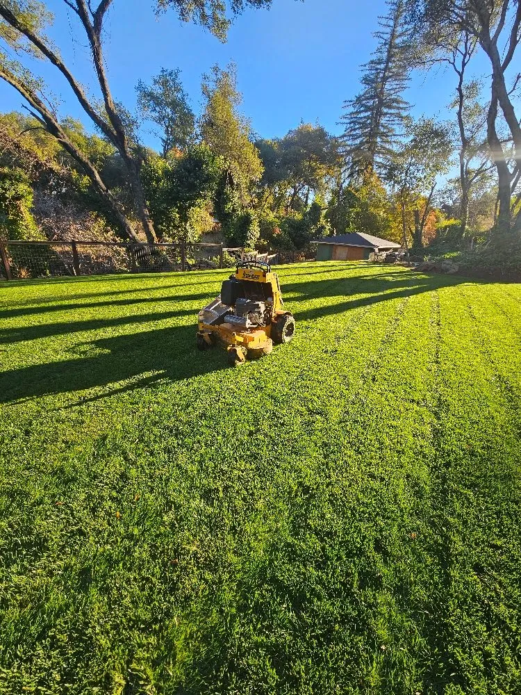 Local landscaping services for outdoor upgrades across Auburn, CA - Roney's Yard Maintenance