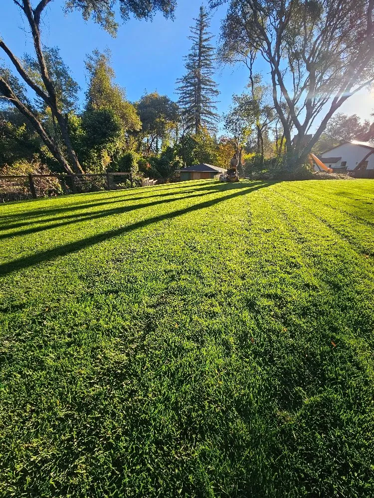 Custom landscaping services for beautiful yards across Auburn, CA - Roney's Yard Maintenance