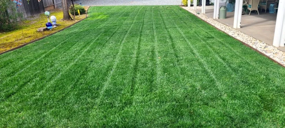 Affordable landscaping services near you in Auburn, CA by Roney's Yard Maintenance