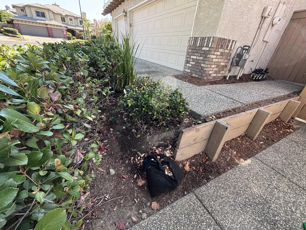 Affordable landscape installation experts serving Auburn, CA - Roney's Yard Maintenance