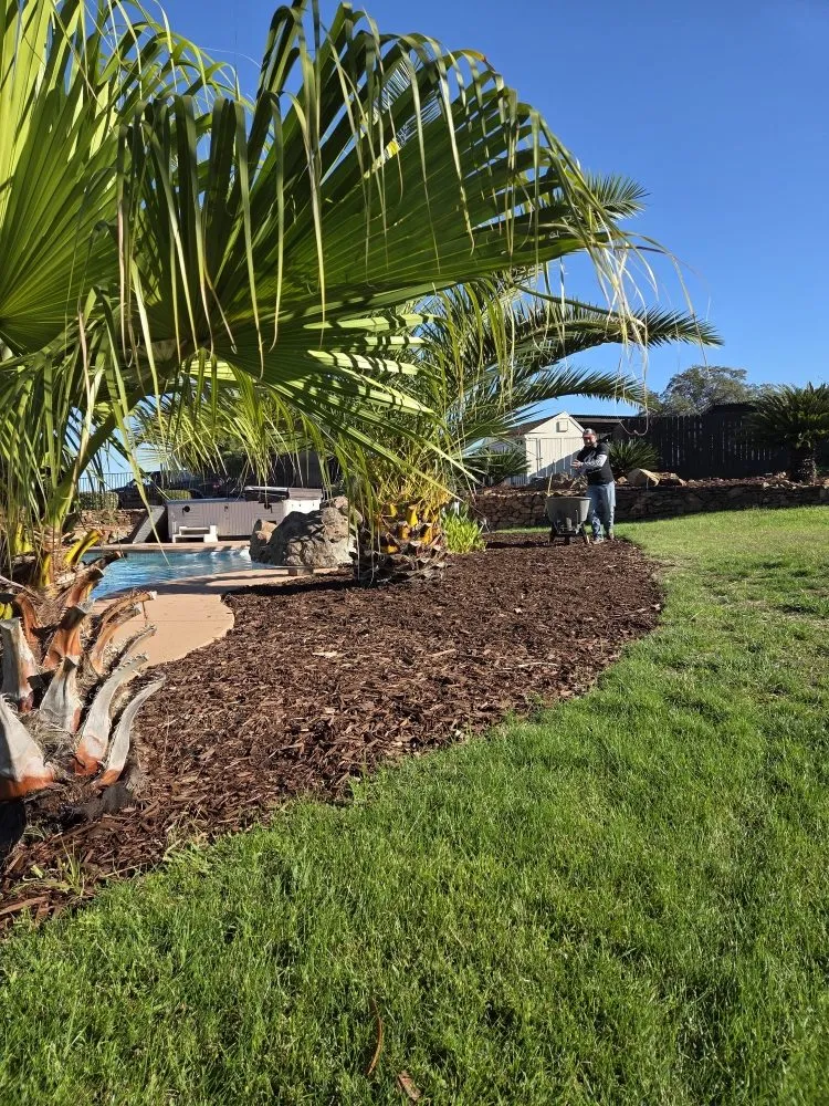 Top-rated yard maintenance in Auburn, CA - Roney's Yard Maintenance