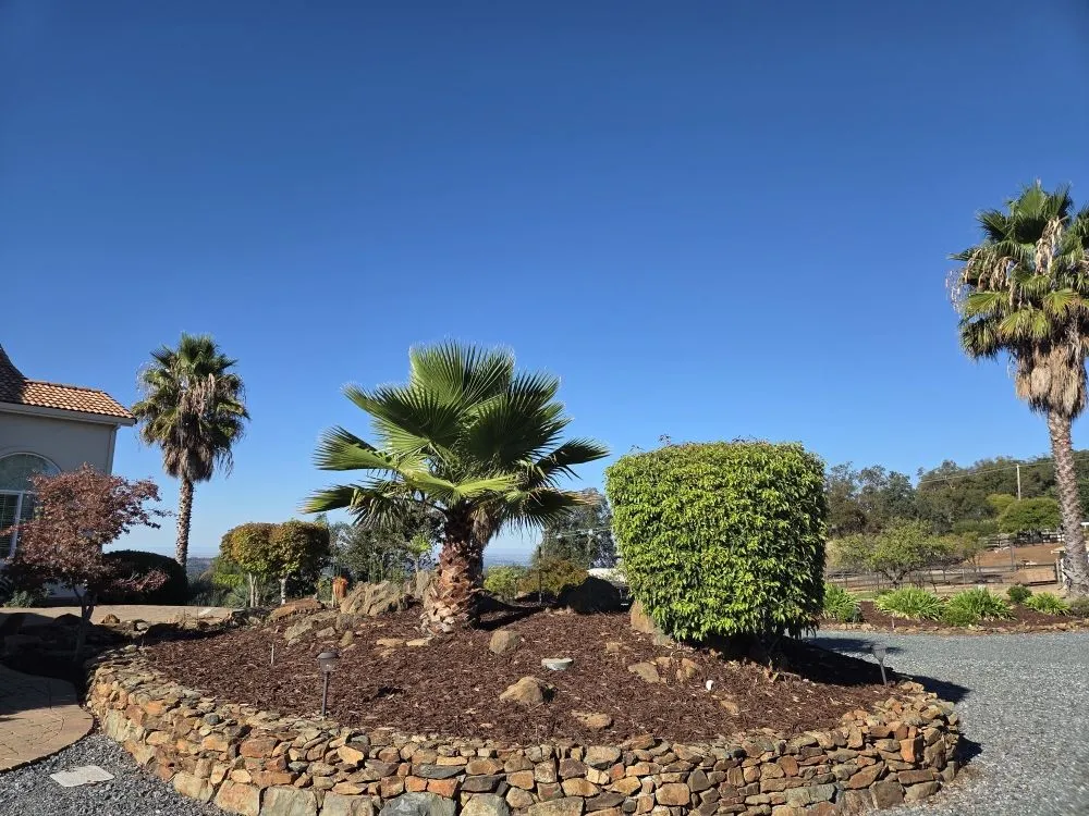 Trusted yard cleanup service for residential properties across Auburn, CA - Roney's Yard Maintenance