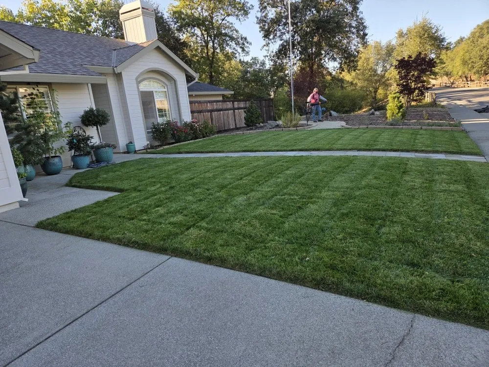 Custom yard cleanup service experts serving Auburn, CA - Roney's Yard Maintenance