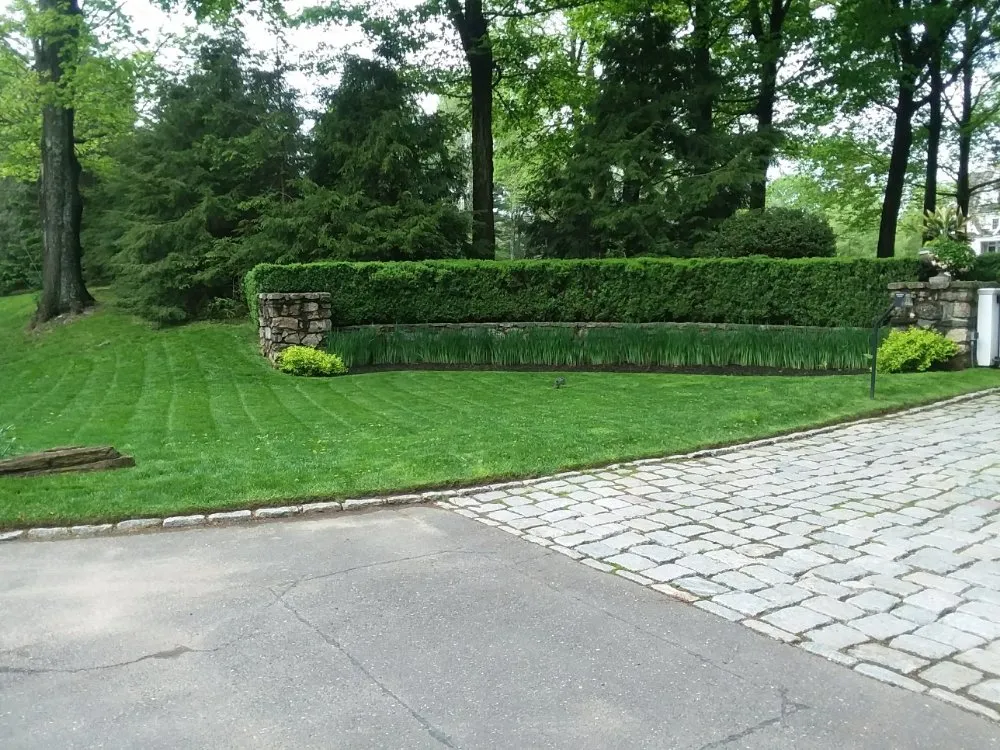 Local yard cleanup service experts serving Norwalk, CT - Ronner Landscaping