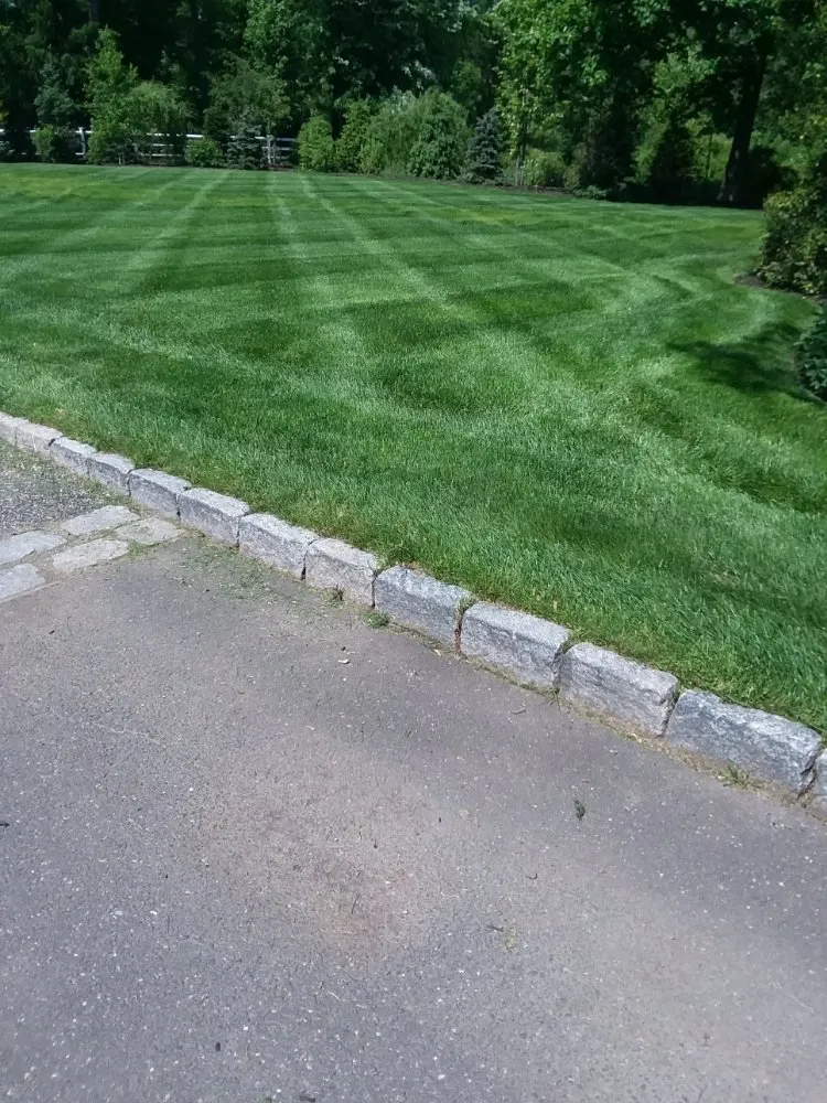 Reliable landscape design in Norwalk, CT - Ronner Landscaping