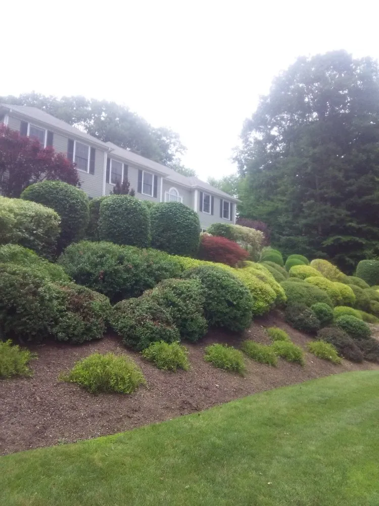 Professional yard maintenance in Norwalk, CT - Ronner Landscaping