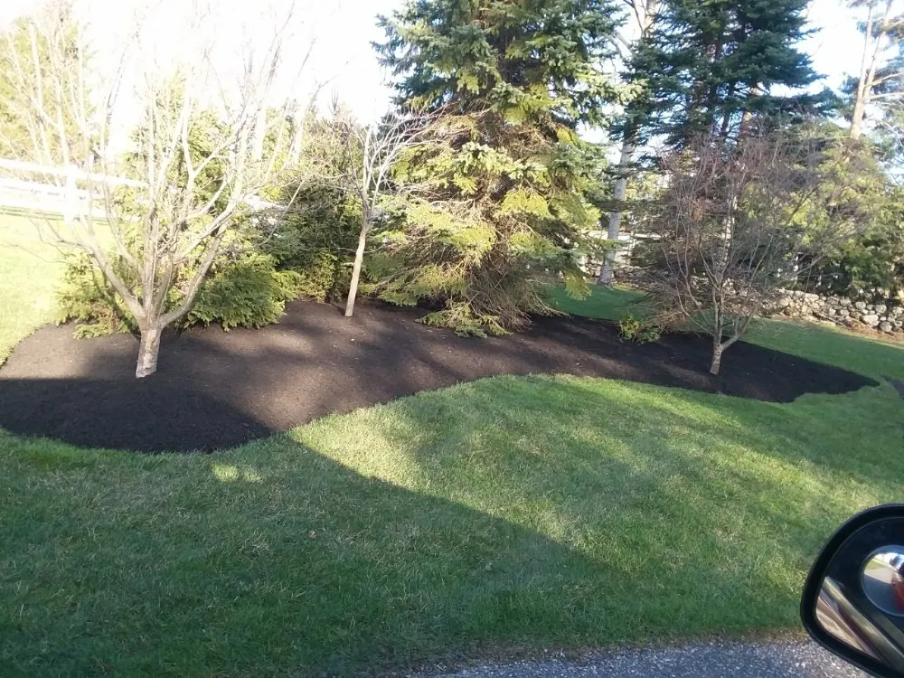 Affordable yard cleanup service in Norwalk, CT by Ronner Landscaping