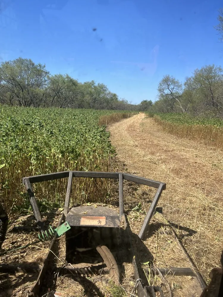 Professional landscape design in Rising Star, TX by Ronnie Evans Mulching & Land Clearing