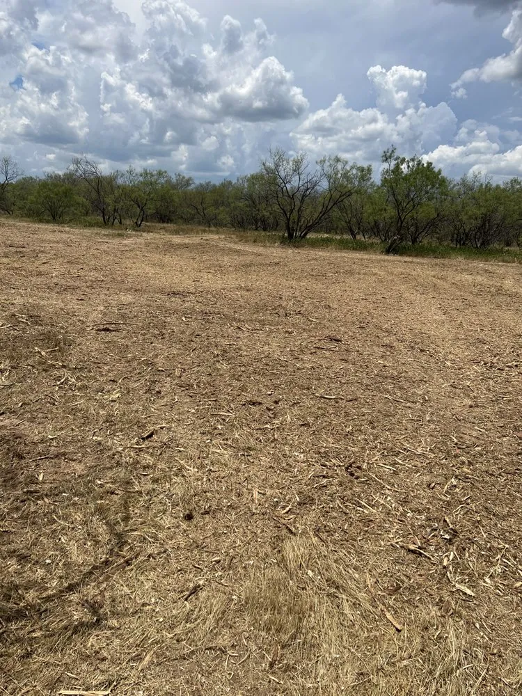 Trusted landscape design experts serving Rising Star, TX - Ronnie Evans Mulching & Land Clearing