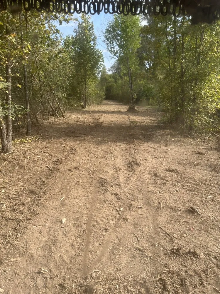 Expert outdoor landscaping in Rising Star, TX by Ronnie Evans Mulching & Land Clearing