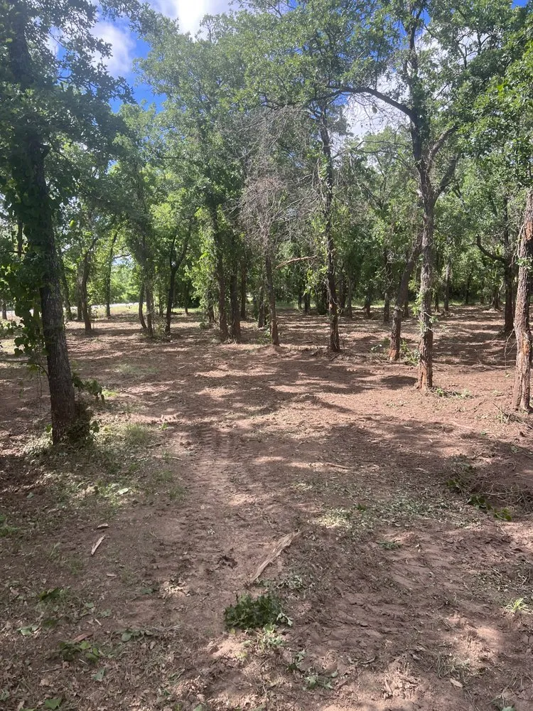 Trusted yard maintenance for year-round maintenance across Rising Star, TX - Ronnie Evans Mulching & Land Clearing