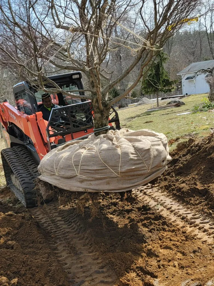 Trusted landscape installation for year-round maintenance in Bedford Hills, NY by Ronnie’s Landscaping