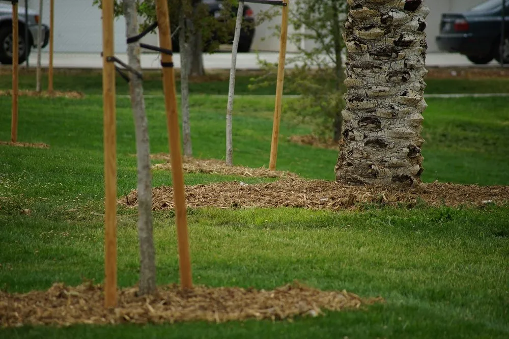 Affordable landscape installation in Los Banos, CA - Ronnys