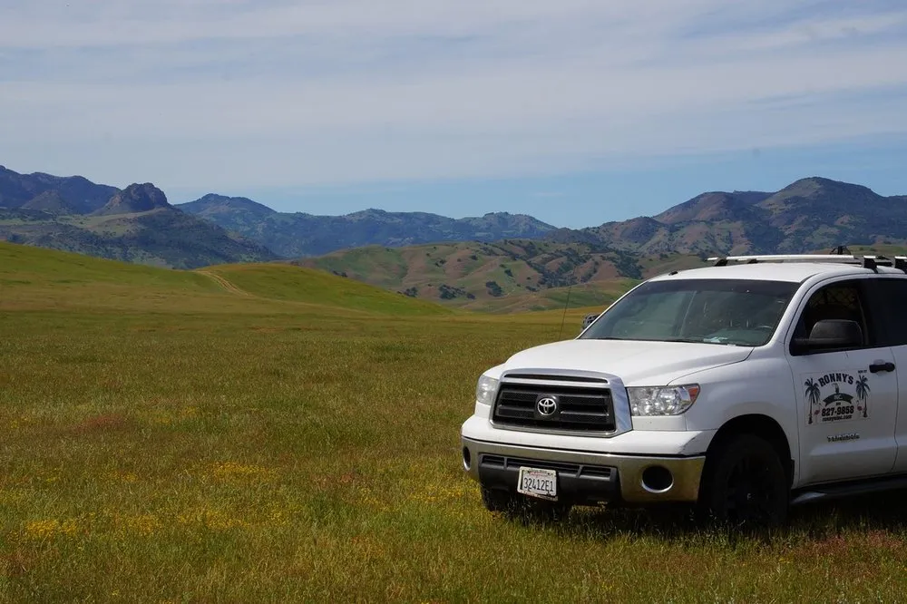 Reliable yard cleanup service for year-round maintenance in Los Banos, CA by Ronnys