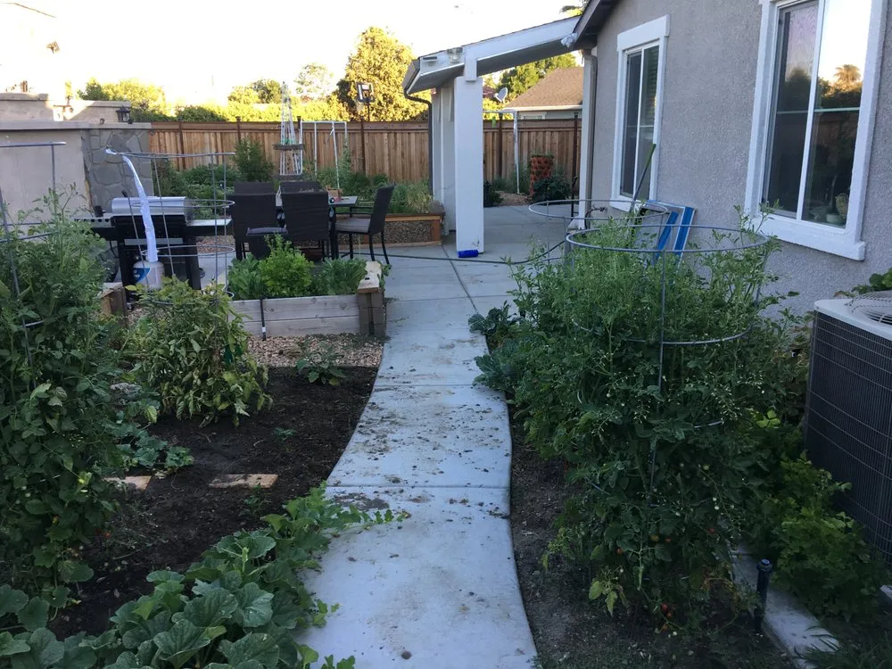 Expert landscaping services for year-round maintenance across Los Banos, CA - Ronnys