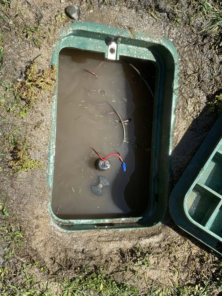 Affordable yard cleanup service for residential properties in Hanford, CA by Ron’s Gardening