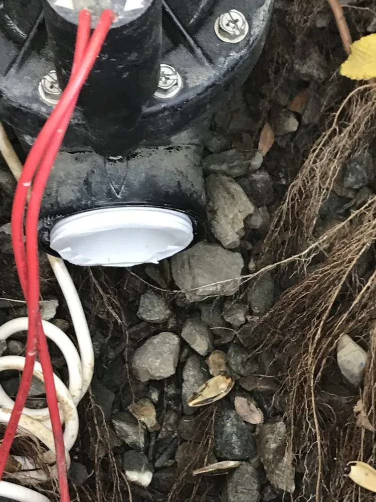 Trusted yard maintenance for outdoor upgrades across Hanford, CA - Ron’s Gardening