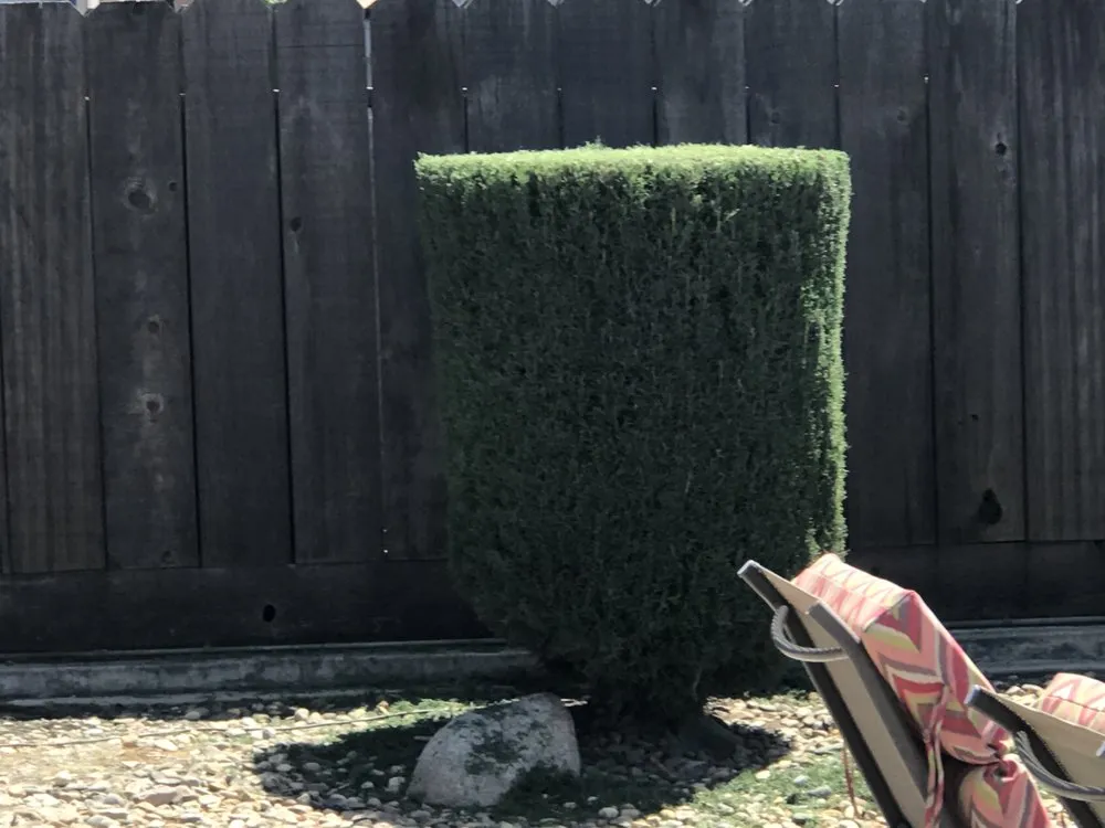 Expert landscape design for residential properties in Hanford, CA by Ron’s Gardening