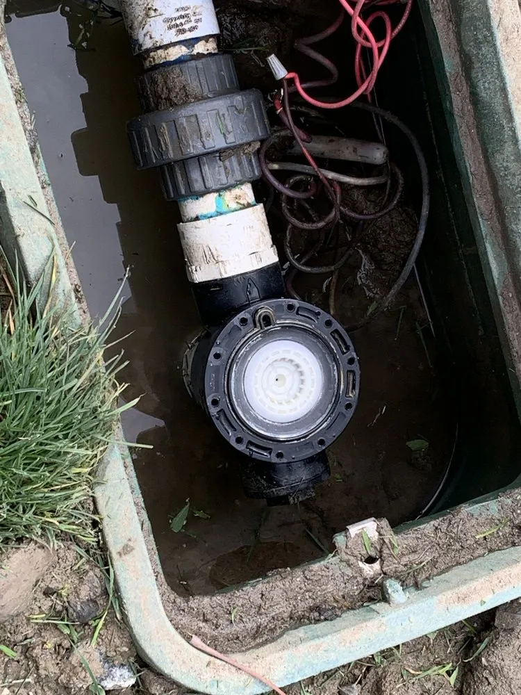 Professional yard cleanup service for residential properties across Hanford, CA - Ron’s Gardening