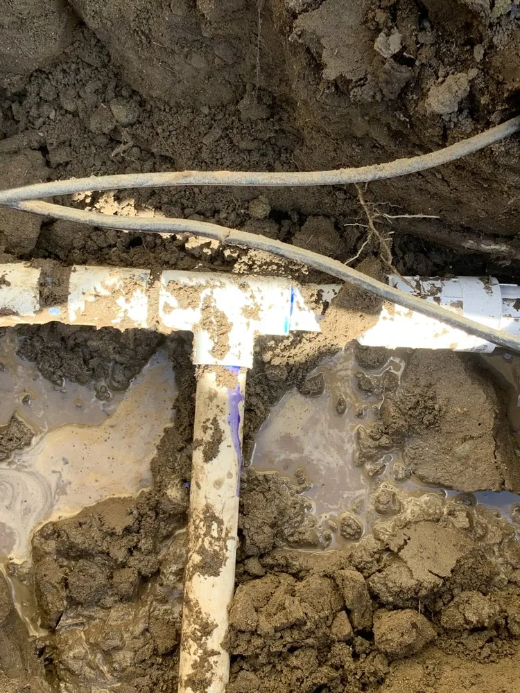 Reliable yard cleanup service for homes in Hanford, CA by Ron’s Gardening