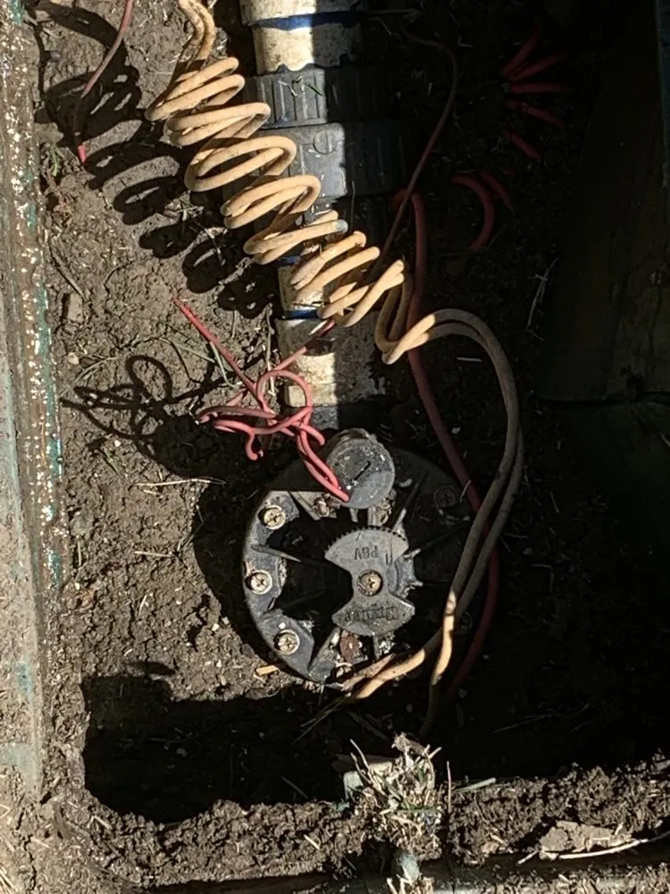 Reliable landscaping services in Hanford, CA by Ron’s Gardening