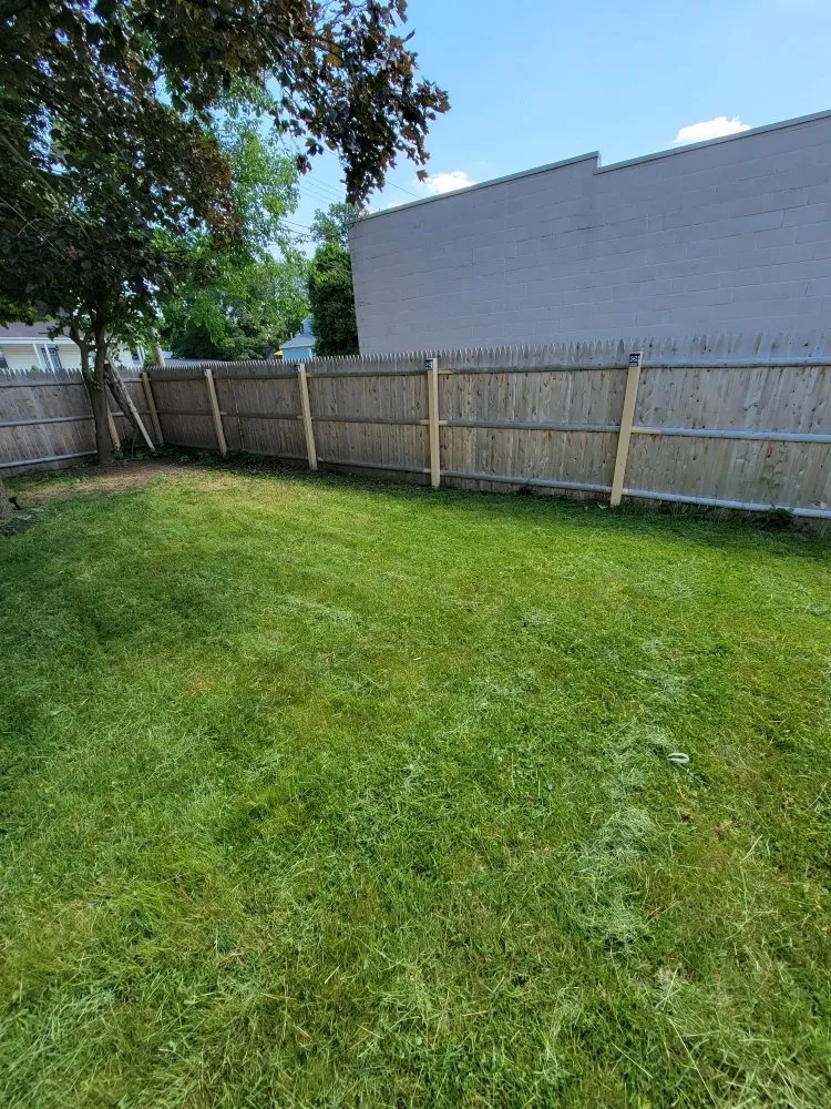 Professional yard cleanup service in Philadelphia, PA by Ron's Junk Removal Services