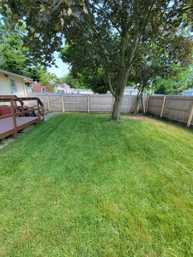 Reliable garden landscaping in Philadelphia, PA - Ron's Junk Removal Services