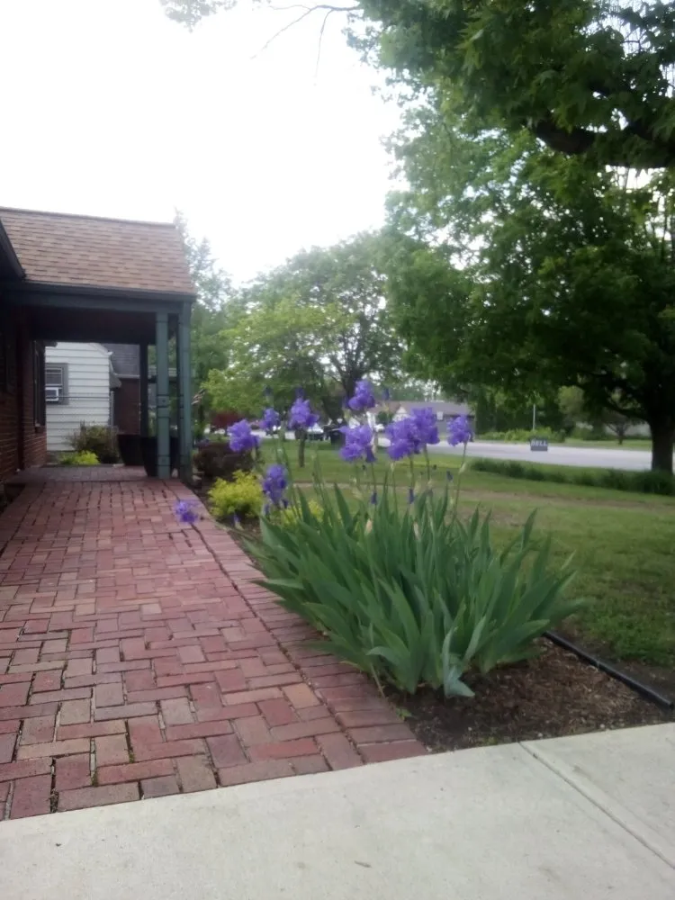 Top-rated landscape installation in Anderson, IN - Ron's Lawn Care