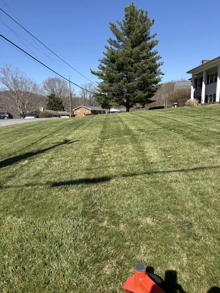 Affordable residential landscaping experts serving Kingsport, TN - Ron's Lawn Care
