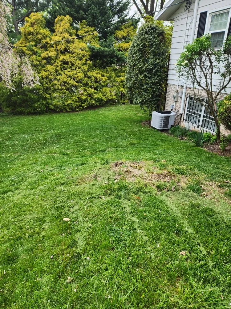 Reliable residential landscaping in Shenandoah, PA - Ron's Lawn Care