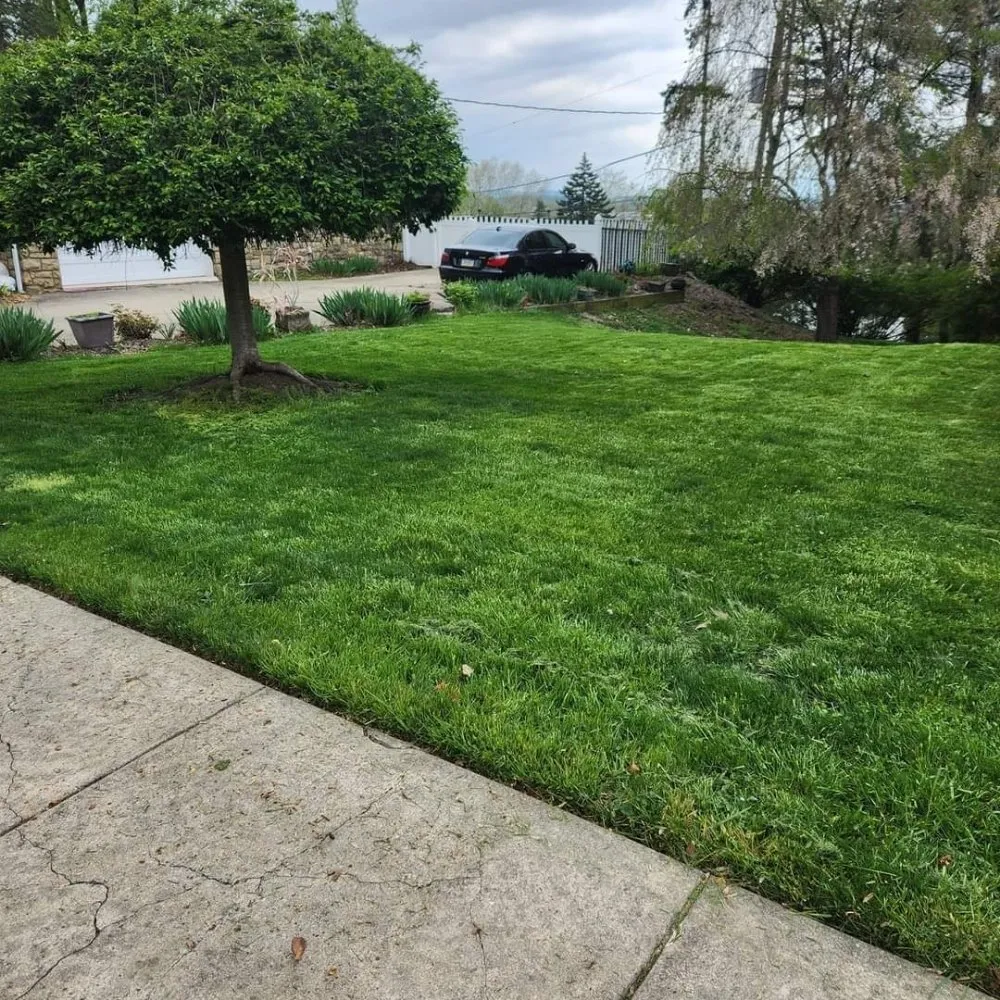 Reliable residential landscaping in Shenandoah, PA by Ron's Lawn Care