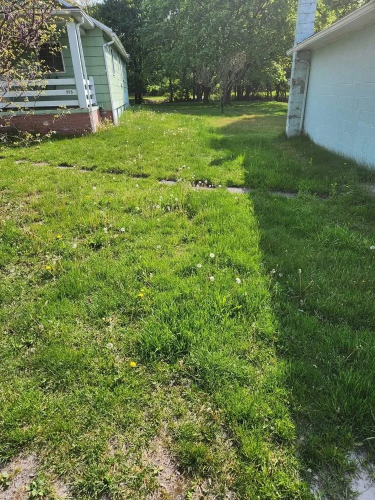Affordable yard maintenance experts serving Shenandoah, PA - Ron's Lawn Care