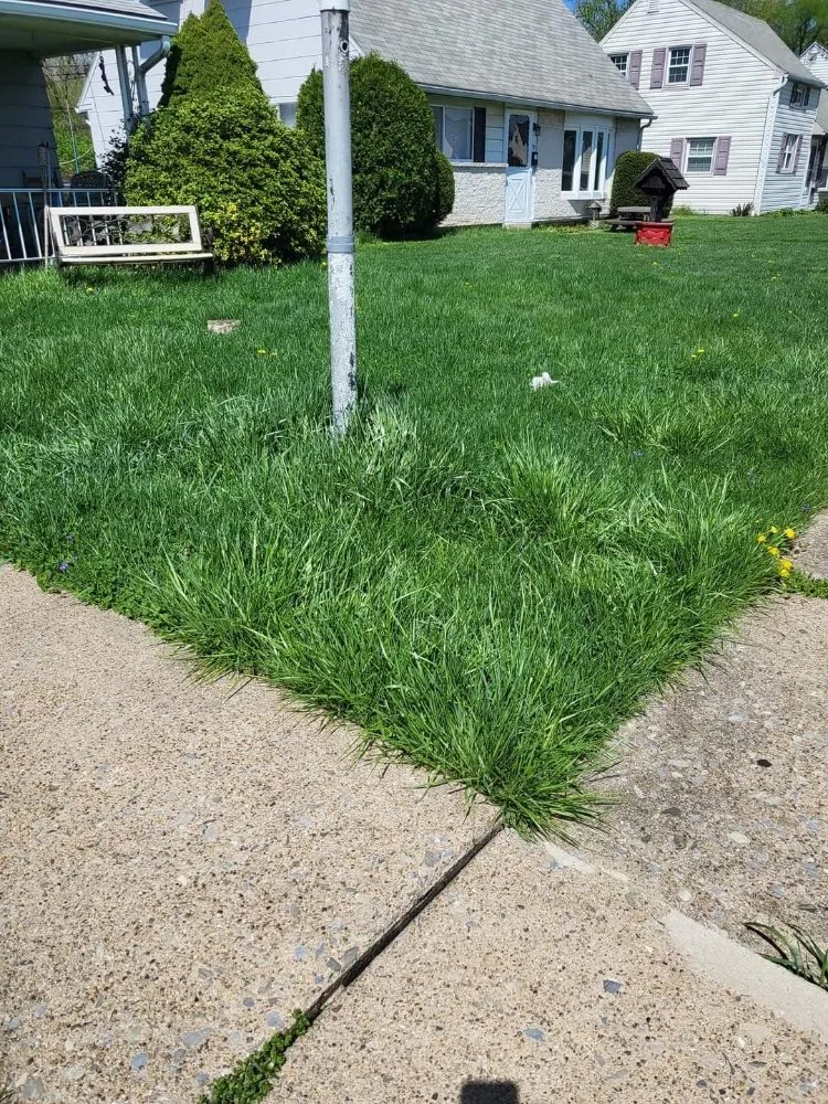 Custom landscaping services experts serving Shenandoah, PA - Ron's Lawn Care