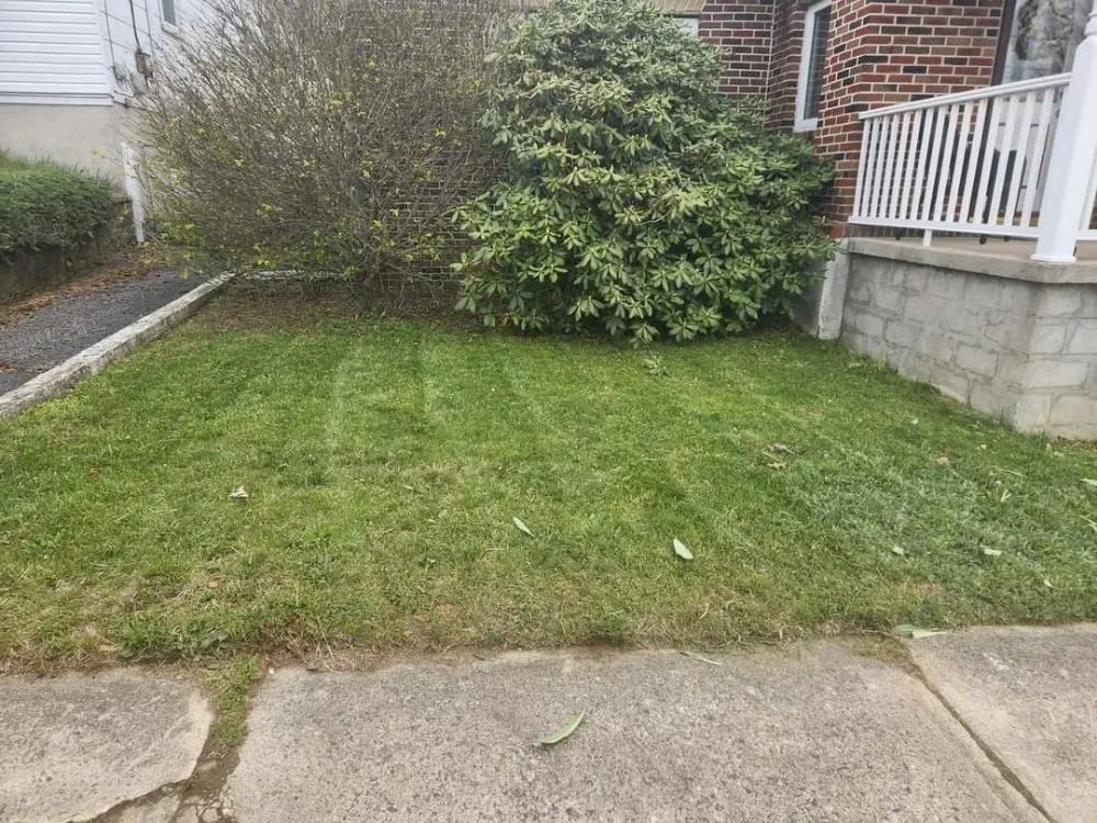 Reliable yard maintenance near you in Shenandoah, PA by Ron's Lawn Care