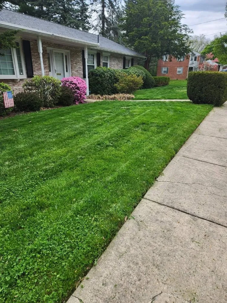 Custom landscaping services for year-round maintenance in Shenandoah, PA by Ron's Lawn Care