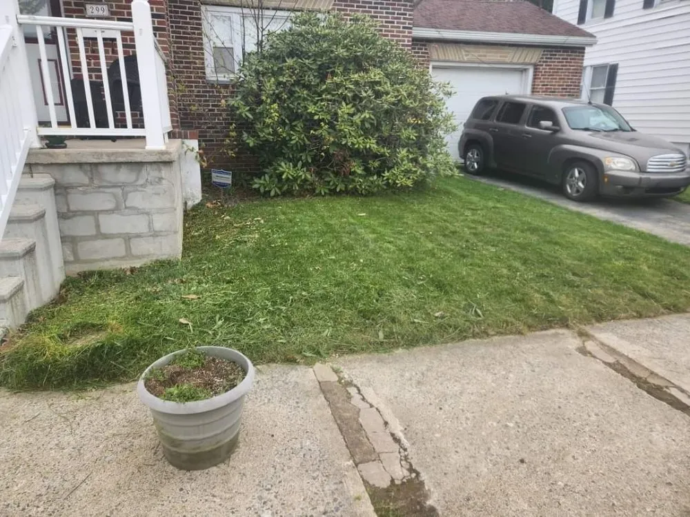Affordable residential landscaping in Shenandoah, PA - Ron's Lawn Care