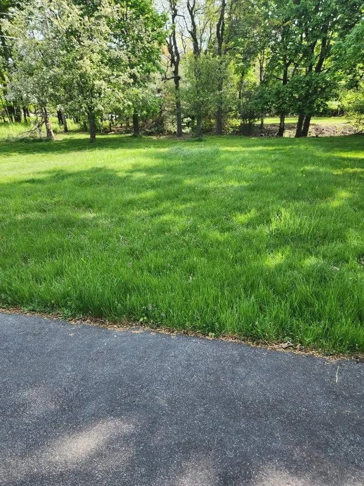 Expert residential landscaping for beautiful yards in Shenandoah, PA by Ron's Lawn Care