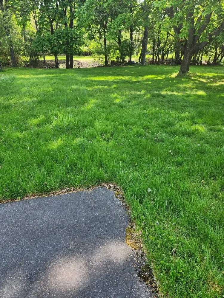 Expert yard maintenance near you in Shenandoah, PA by Ron's Lawn Care