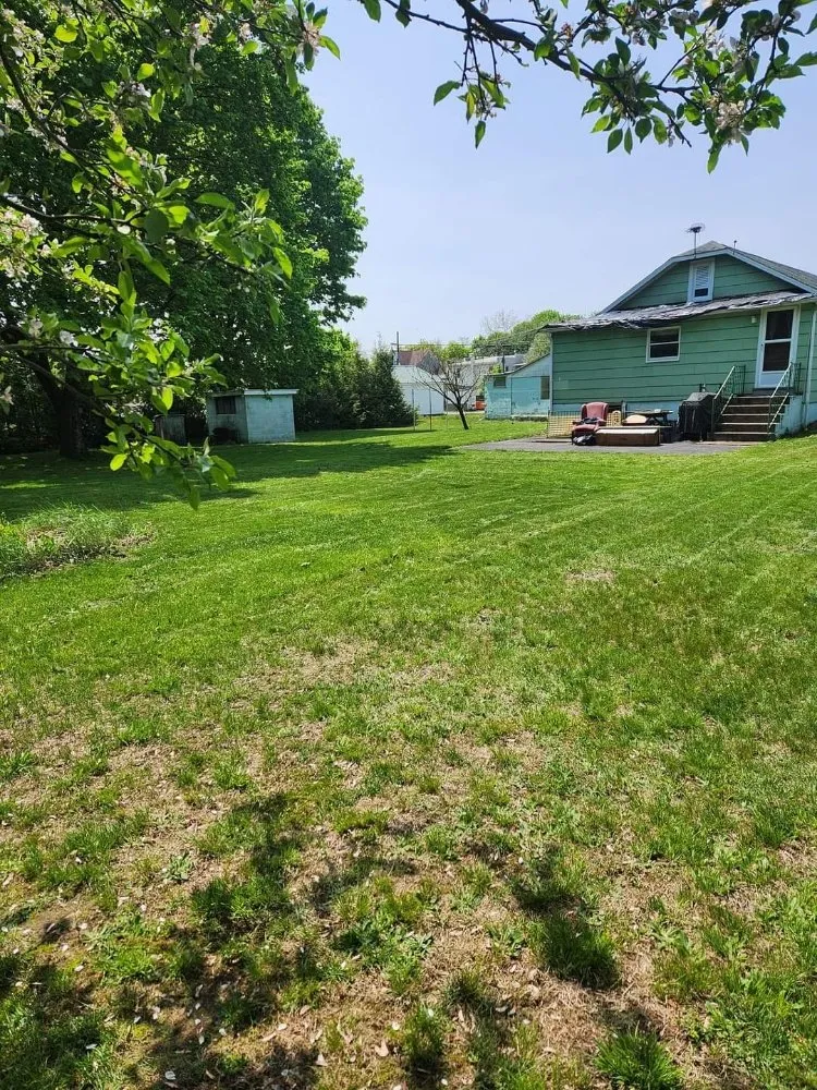 Affordable outdoor landscaping experts serving Shenandoah, PA - Ron's Lawn Care