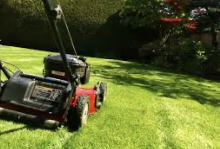 Local yard cleanup service in Richland, MS - Ron’s Lawn Maintenance