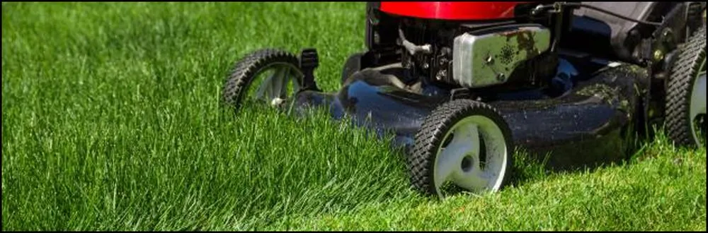 Local lawn care service in Gaffney, SC - Ron's Lawn Mowing