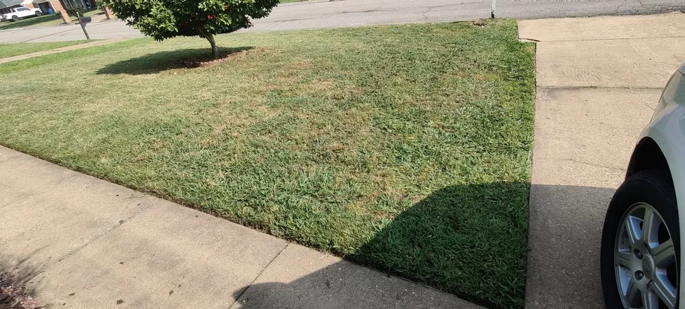 Top-rated residential landscaping experts serving Olive Branch, MS - Ron's Lawn Service