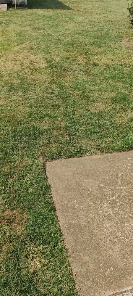 Trusted landscape installation in Olive Branch, MS - Ron's Lawn Service