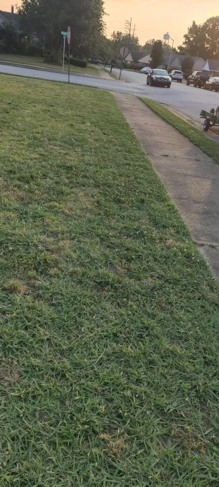 Custom garden landscaping for homes across Olive Branch, MS - Ron's Lawn Service