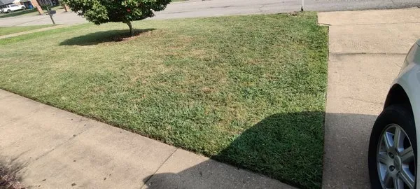 Ron's Lawn Service Logo