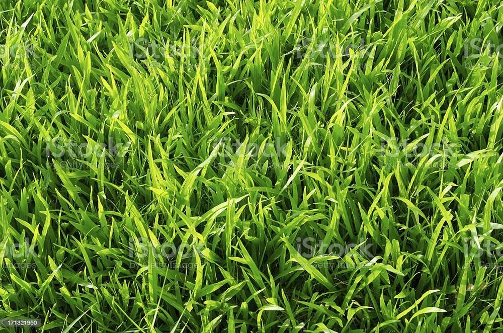 Reliable landscape installation in Post Falls, ID - Ron's Lawn Service